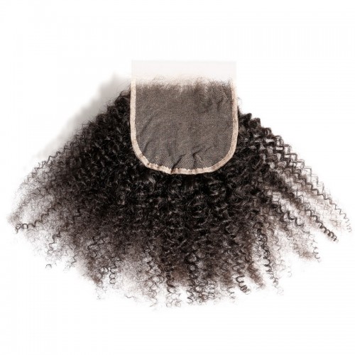 Virgin Hair Afro Kinky Curly 4X4 5X5 6X6 7X7 HD Lace Closure | Human Hair Wig | Lace Front